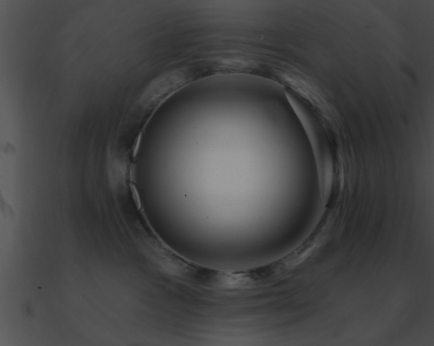 X0000090980333200708021504