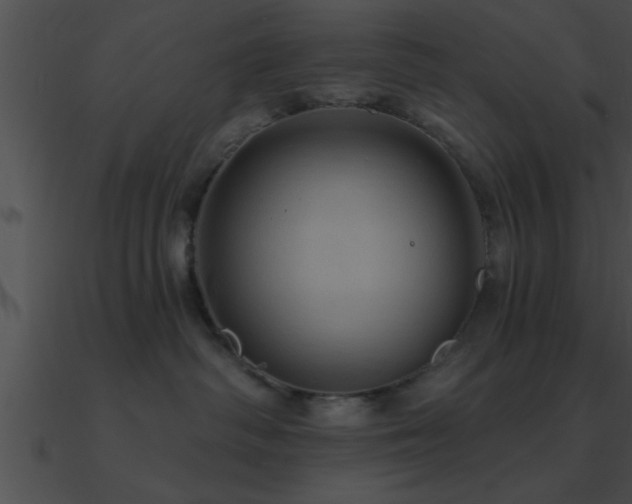 X0000090980334200708021504