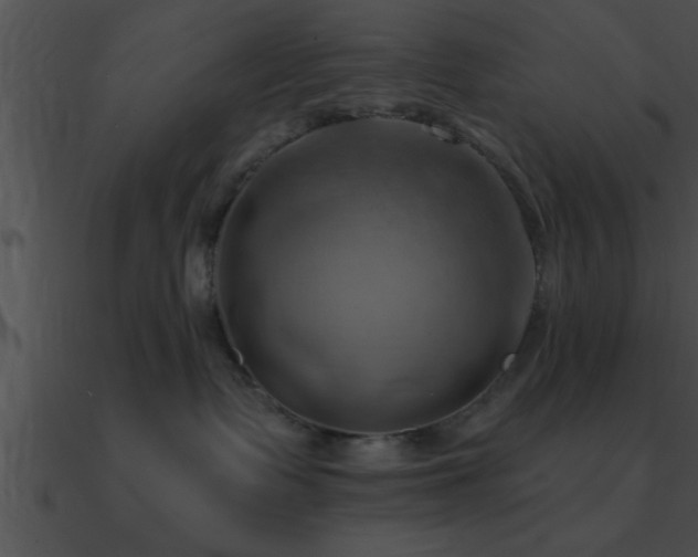 X0000090980335200708021504
