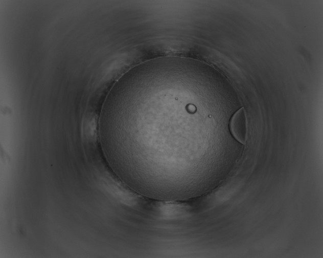 X0000090980336200708021504