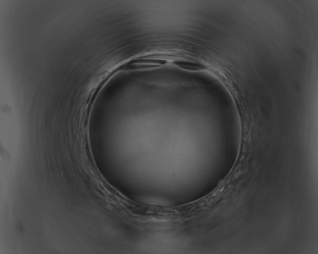 X0000090980337200708021503
