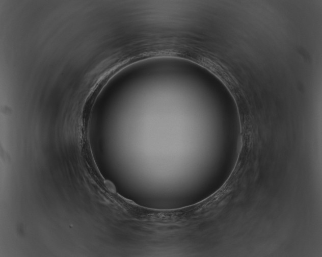 X0000090980338200708021503