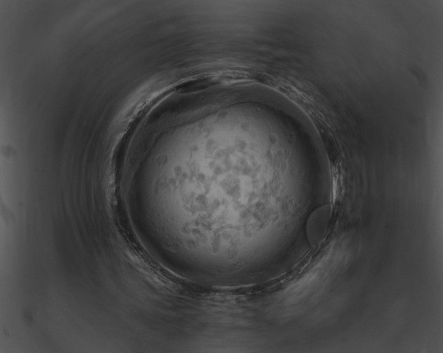 X0000090980339200708021503