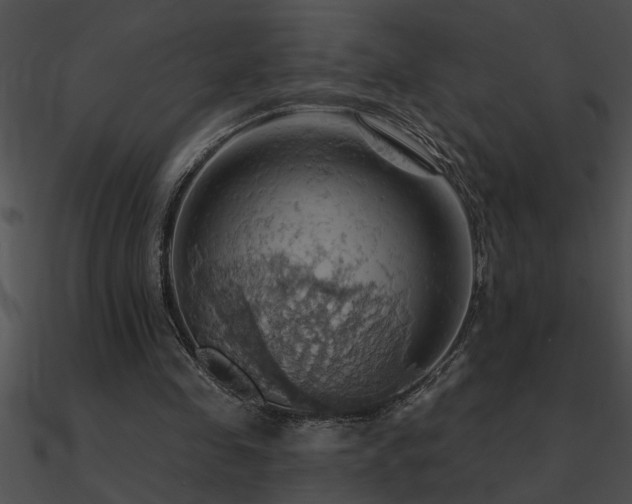X0000090980341200708021503