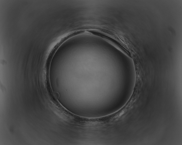 X0000090980342200708021503