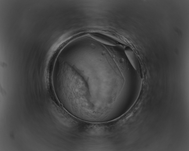 X0000090980343200708021503