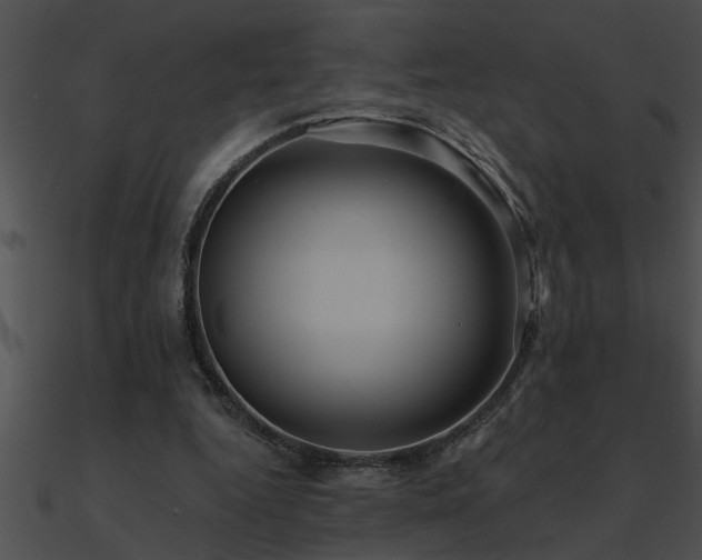 X0000090980344200708021503