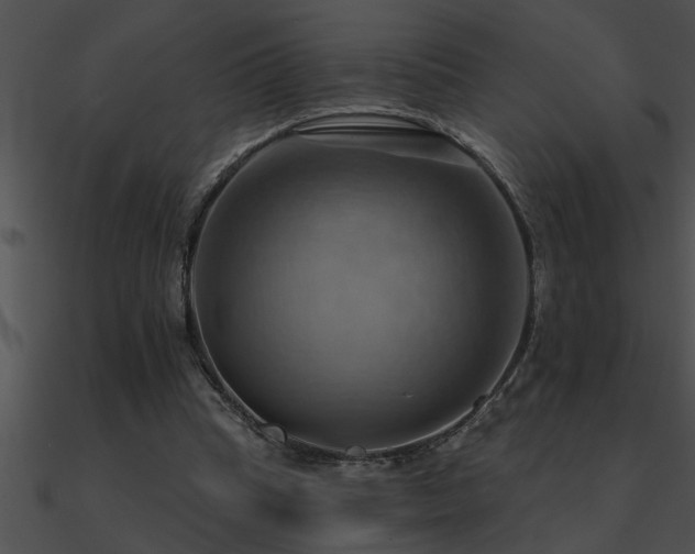 X0000090980345200708021503