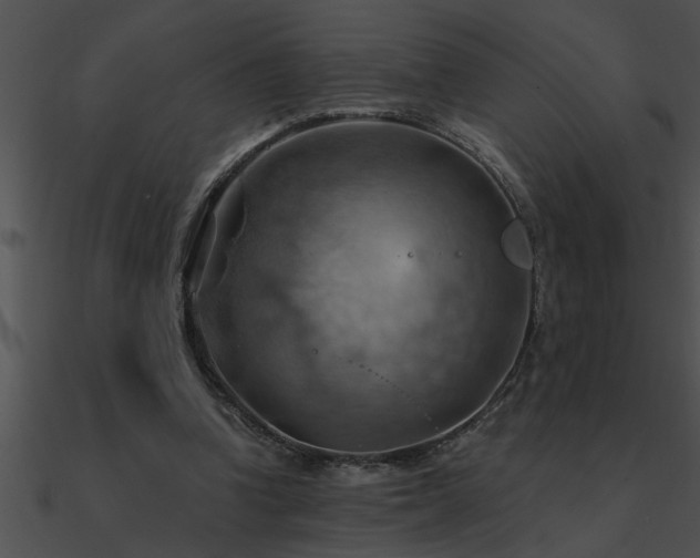 X0000090980346200708021503