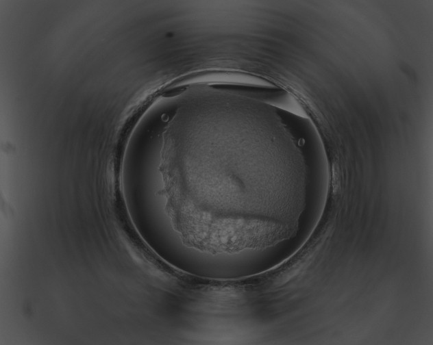 X0000090980349200708021503