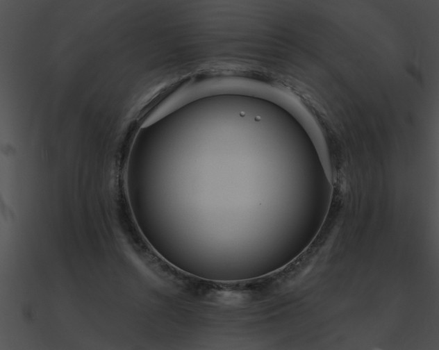 X0000090980352200708021503