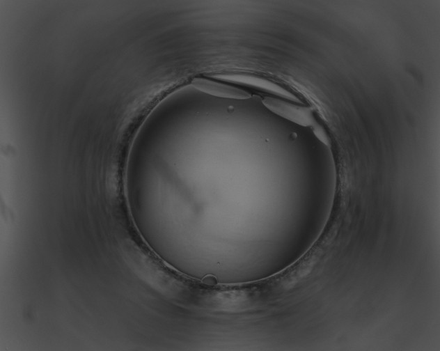 X0000090980353200708021503
