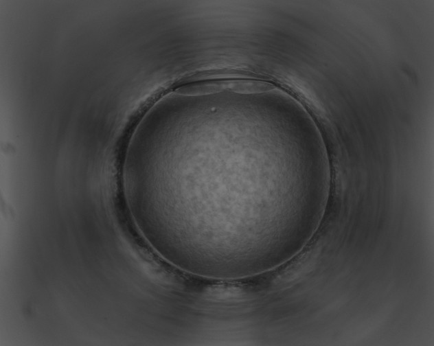 X0000090980354200708021503