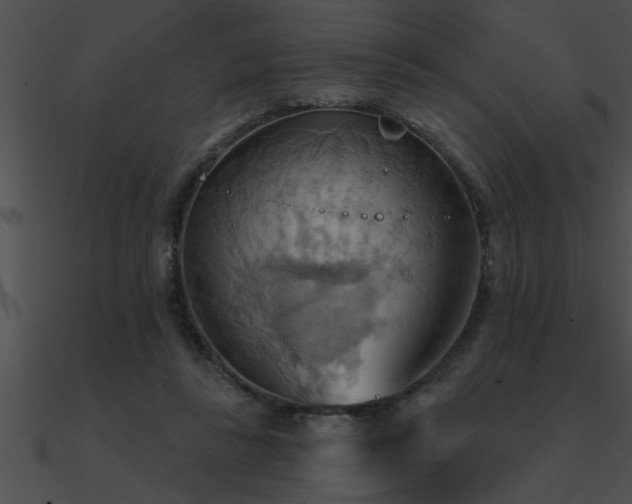 X0000090980355200708021503