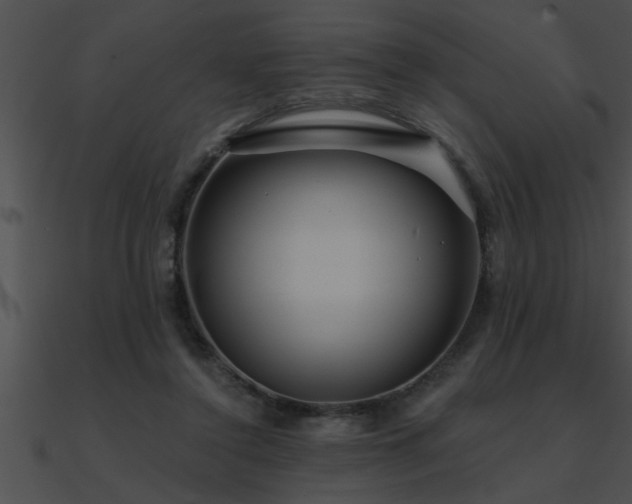 X0000090980356200708021503