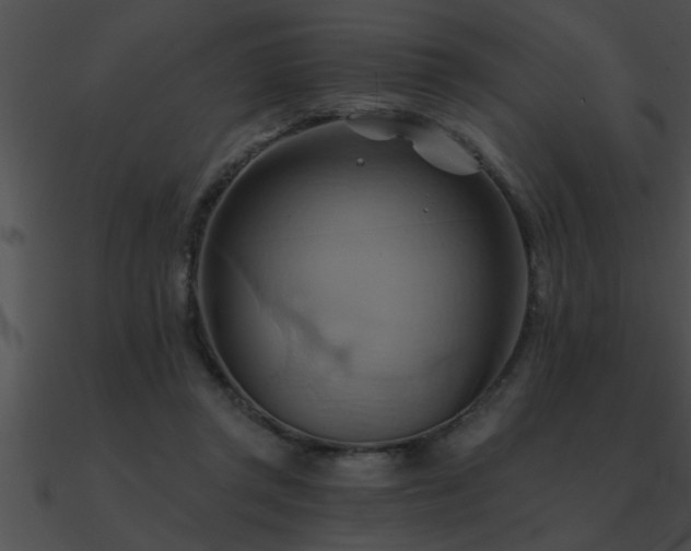 X0000090980357200708021503
