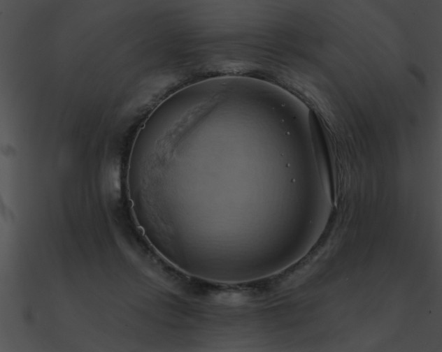 X0000090980358200708021503