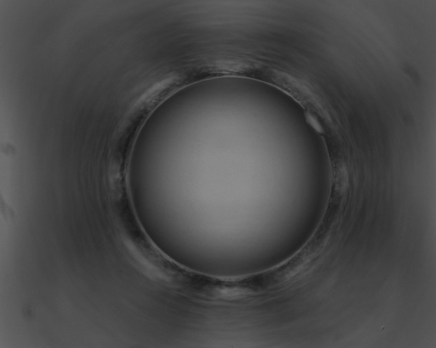 X0000090980360200708021503