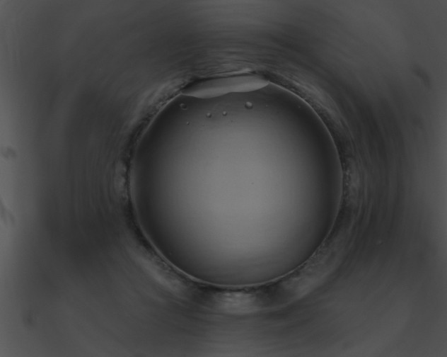 X0000090980361200708021503