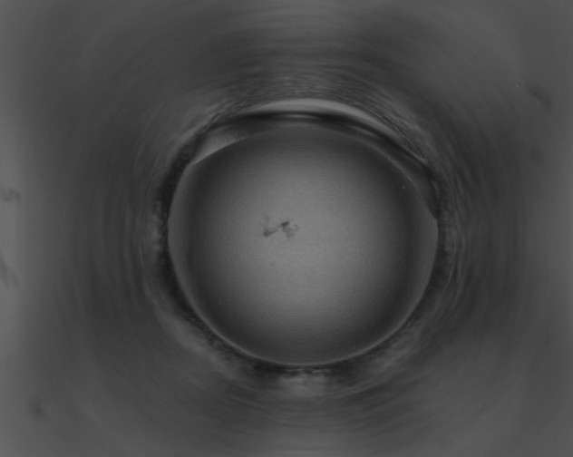 X0000090980362200708021503