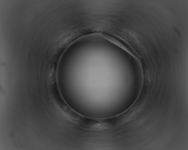 X0000090980364200708021503