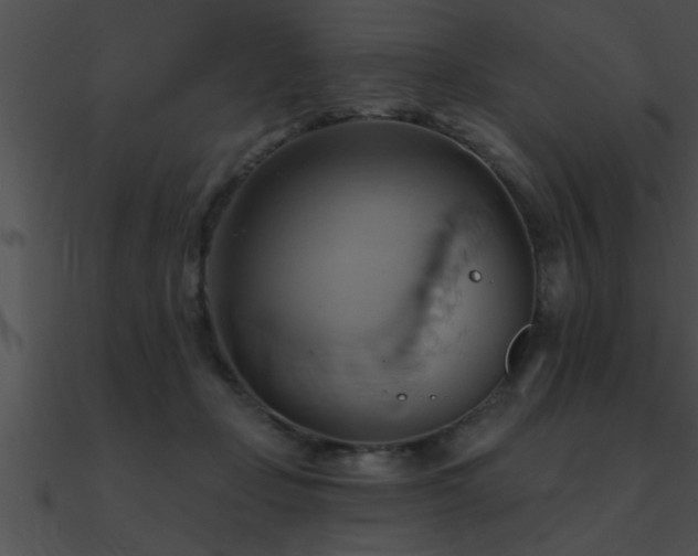 X0000090980365200708021503