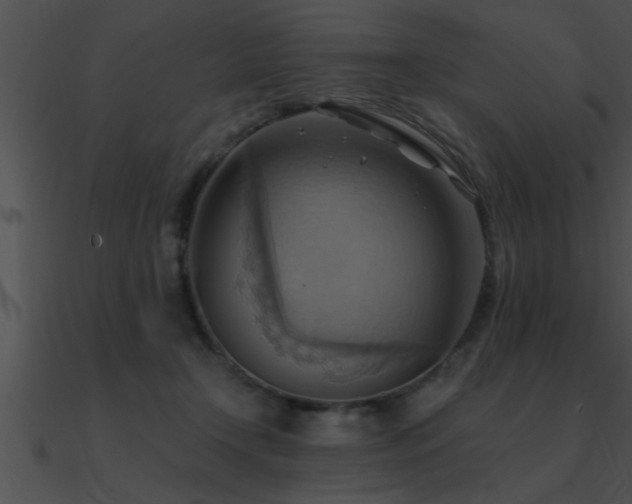 X0000090980366200708021503