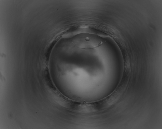 X0000090980367200708021503