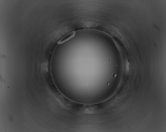 X0000090980368200708021503