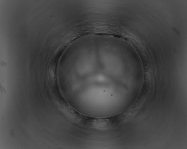 X0000090980373200708021504
