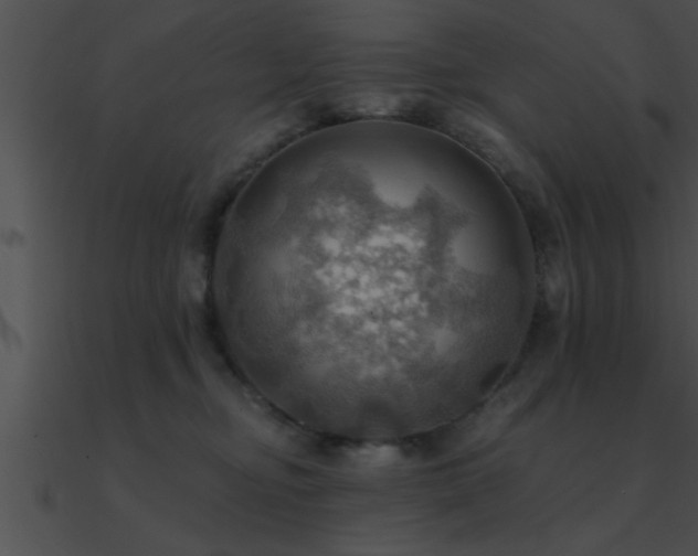X0000090980374200708021504