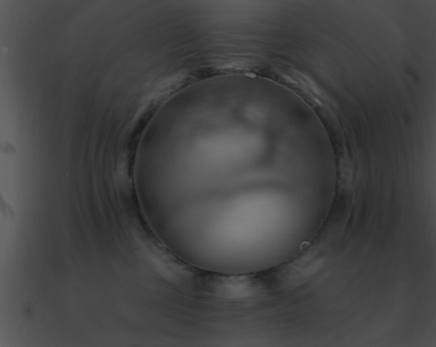 X0000090980377200708021504