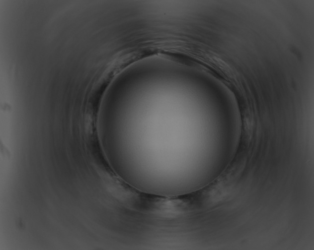 X0000090980379200708021504