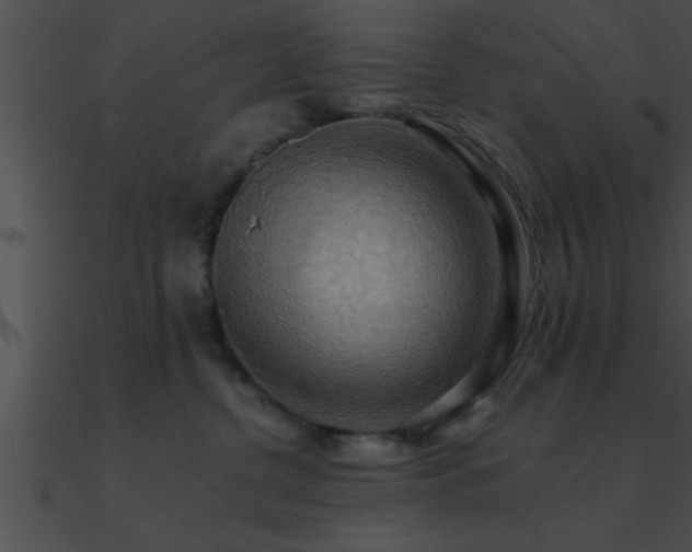 X0000090980380200708021504