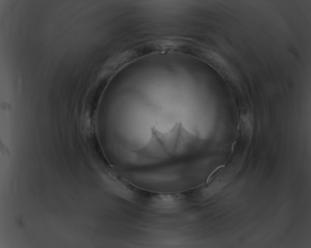 X0000090980381200708021504