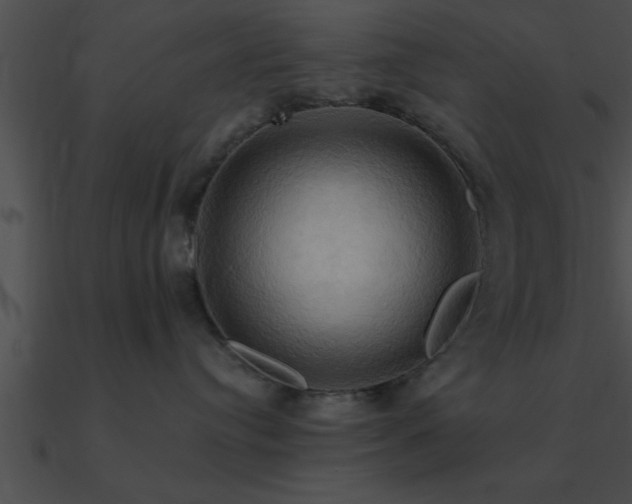 X0000090980384200708021504
