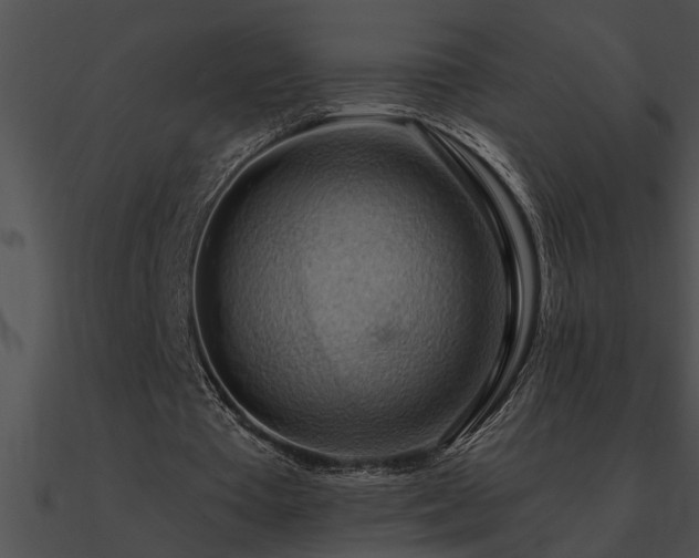 X0000090980385200708021503