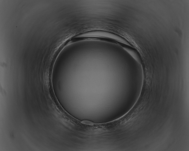 X0000090980386200708021503