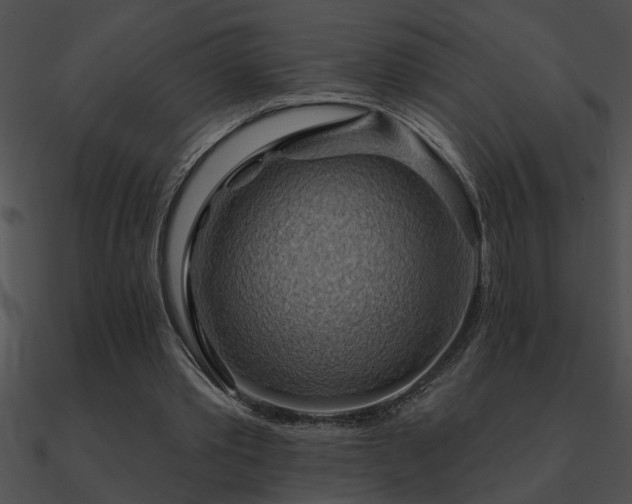 X0000090980389200708021503