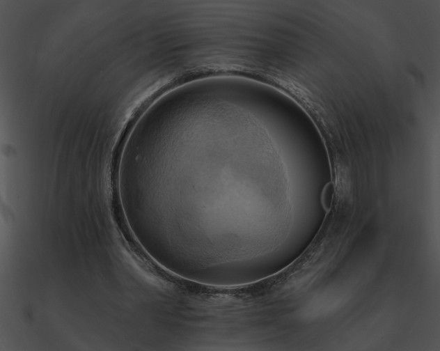 X0000090980390200708021503