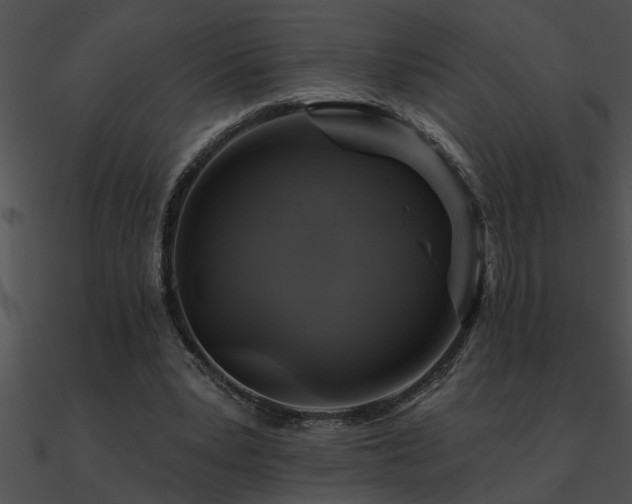 X0000090980391200708021503