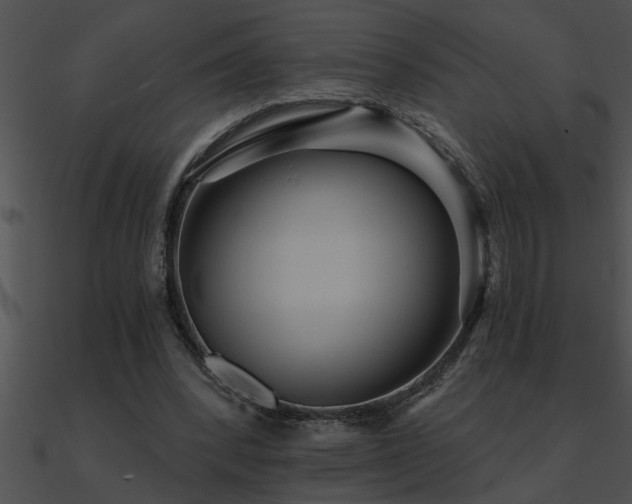 X0000090980392200708021503