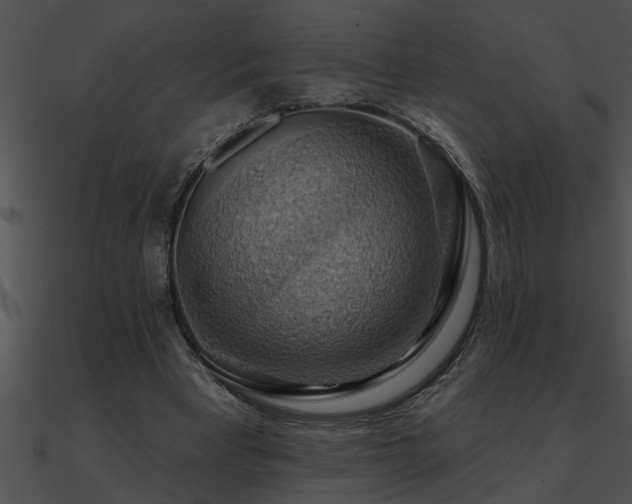 X0000090980393200708021503