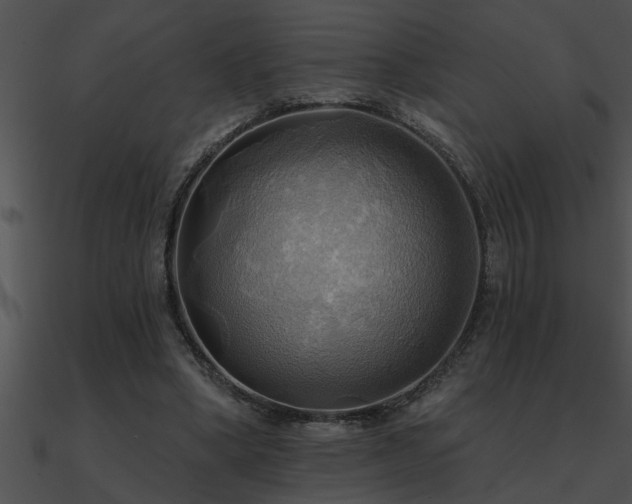 X0000090980394200708021503
