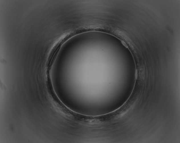 X0000090980395200708021503