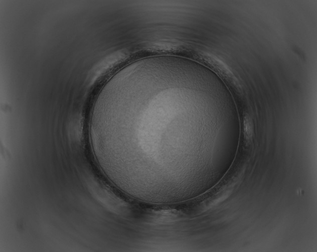 X0000090980396200708021503