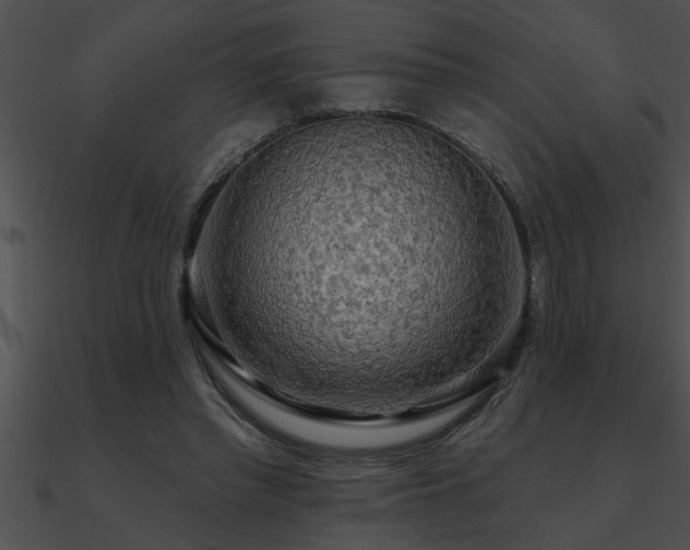 X0000090980397200708021503