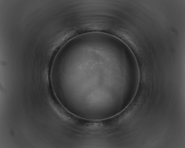 X0000090980398200708021503