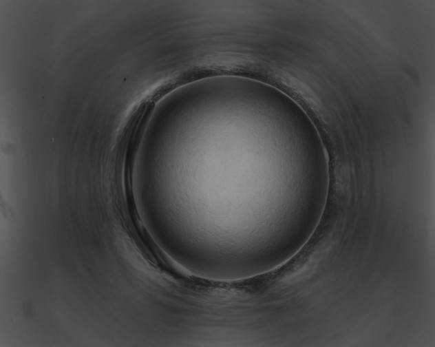 X0000090980399200708021503