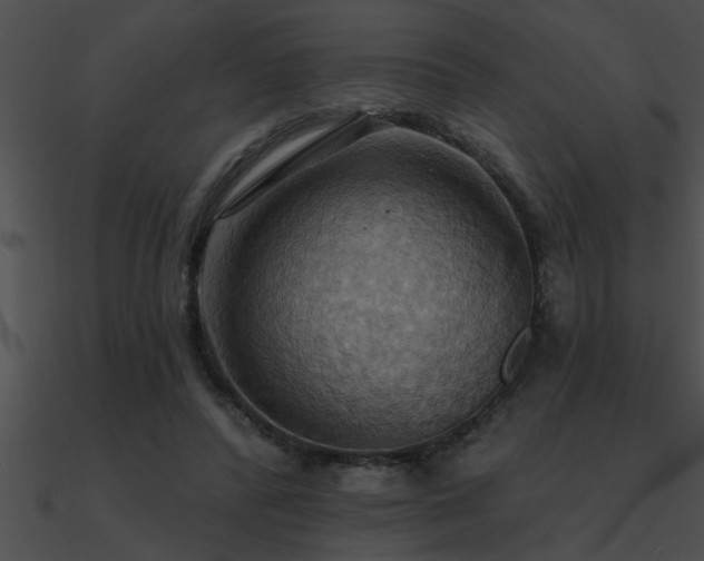 X0000090980400200708021503